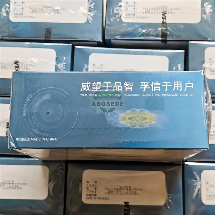 Fuel Injection Pump Plunger 00U34/U34 – Standardised Flow Characteristic And Maintenance‑Friendly Interchangeability For Weifu Inline Pump Systems factory
